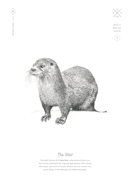 The Otter (A4 Print)
