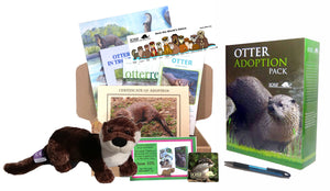otter adopt gift box