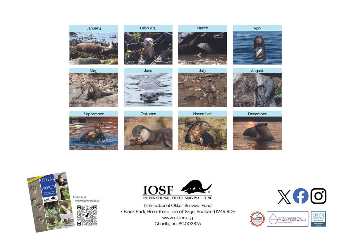 IOSF 2025 Otters of the World Calendar IOSF Otter Shop Otter Kalender 2025
