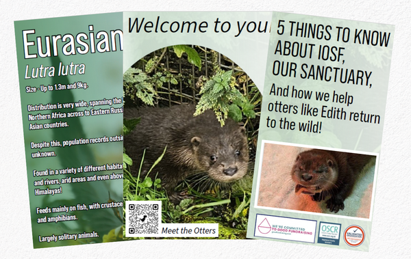 IOSF Digital Otter Sponsorship