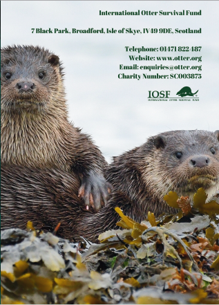 IOSF Otter Adoption Gift Box