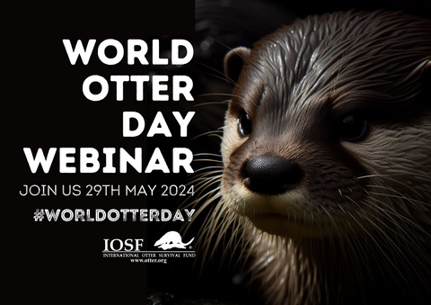 Donate to IOSF World Otter Day Webinar