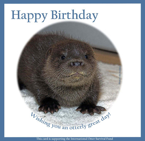 Birthday e-cards