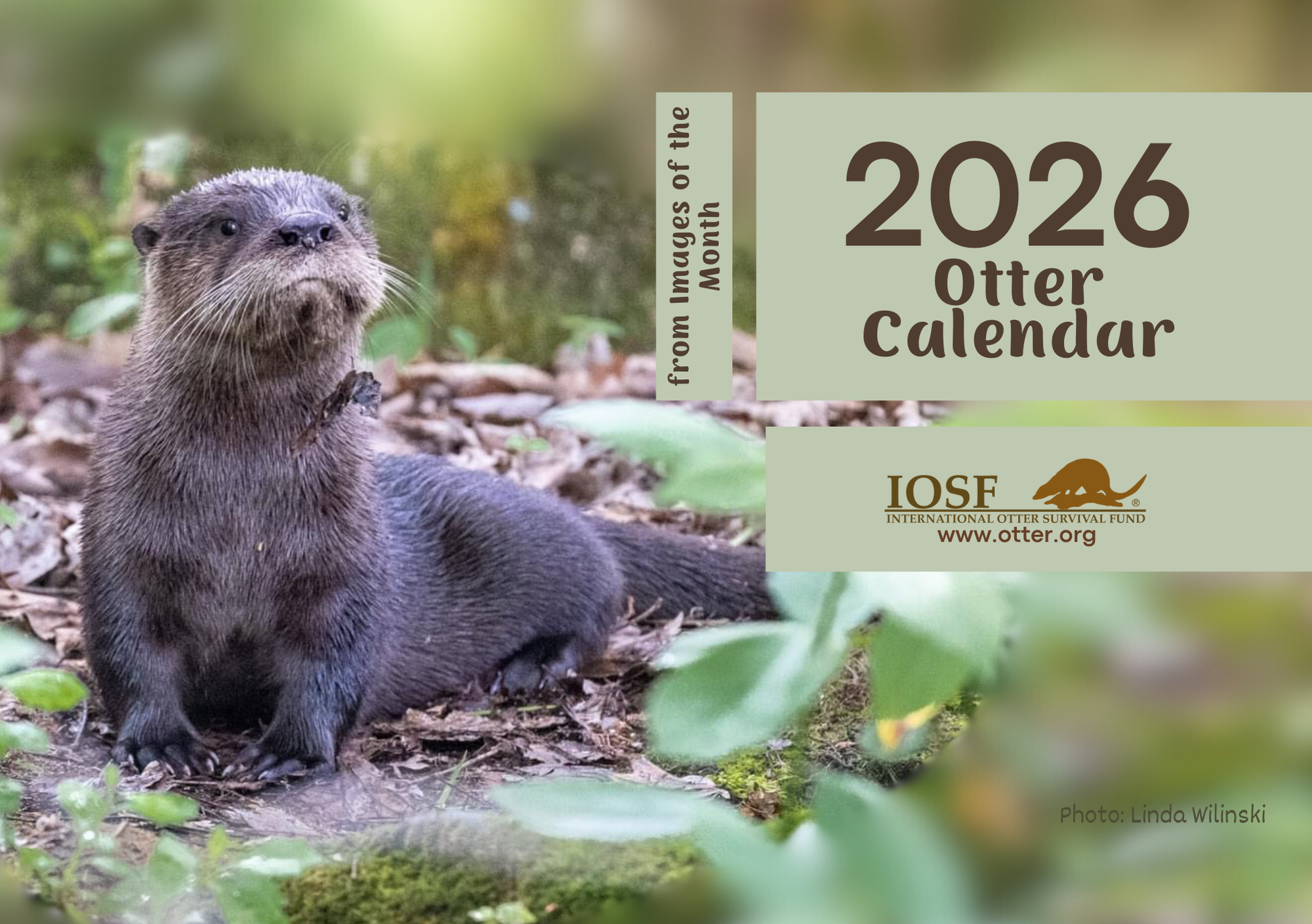 IOSF 2026 Otters Calendar