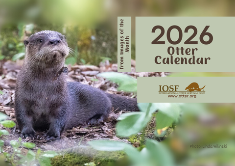 IOSF 2026 Otters Calendar