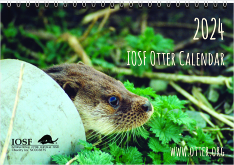 2024 IOSF Otter Calendar