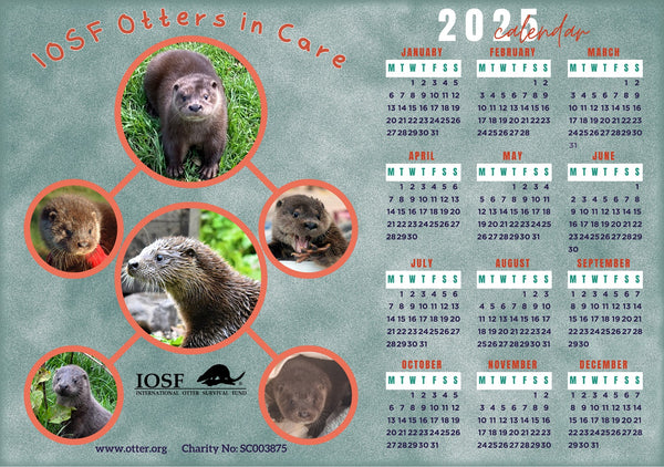 IOSF 2025 Calendar - printable download