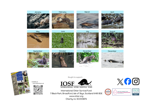 IOSF 2026 Otters Calendar