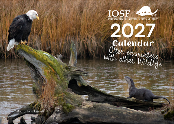 *NEW* IOSF 2027 Otters Calendar