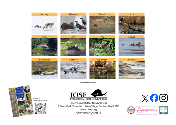 *NEW* IOSF 2027 Otters Calendar