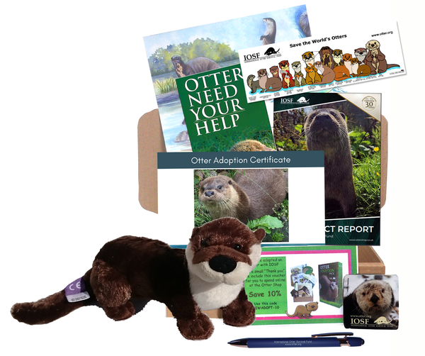 Otter Adoption Instant Voucher... when time is short!