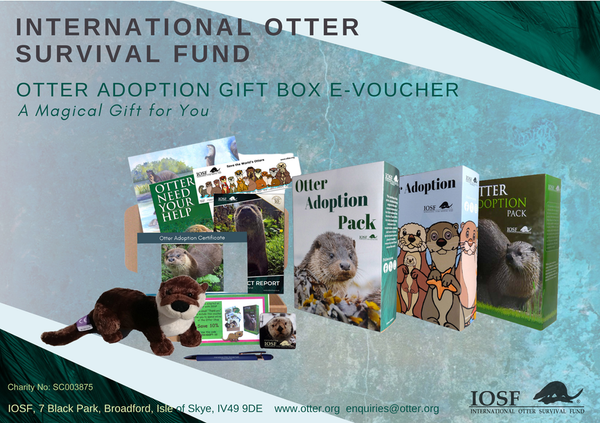 Otter Adoption Instant Voucher... when time is short!