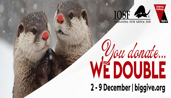 Double Your Donation in our Big Give Challenge (donate with the link below)