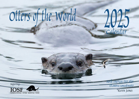 IOSF 2025 Otters of the World Calendar