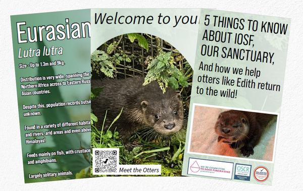 *NEW*  IOSF Digital Otter Sponsorship