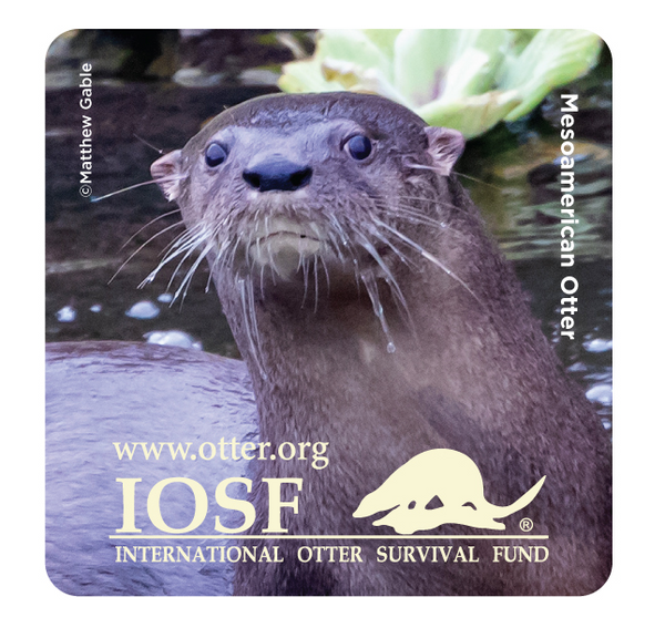 IOSF Otter Magnet