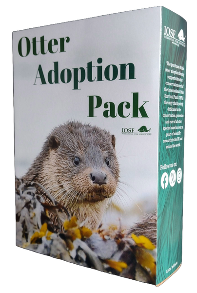 IOSF Otter Adoption Gift Box