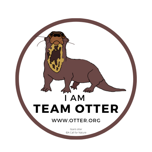I AM TEAM OTTER recycled plastic button badge - new otter design**