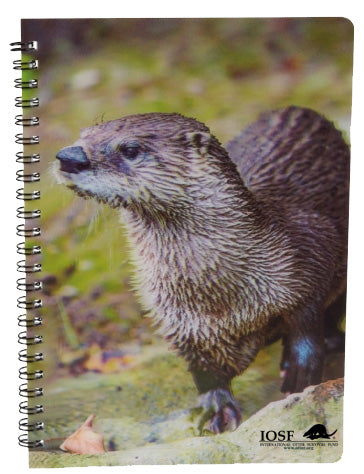 3D Otter notebook