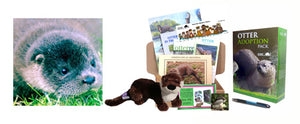 Otter Adoption Instant Voucher... for that last minute gift