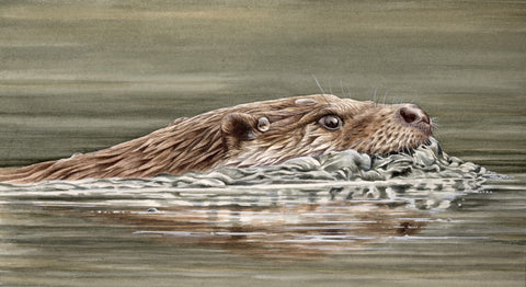 Limited Edition Fine Art Otter Prints (Lyn Wells)