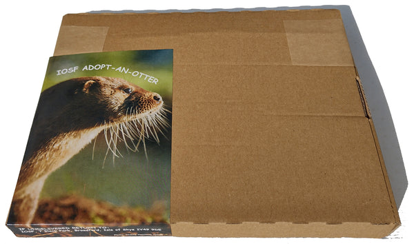 Letterbox IOSF Otter Adoption