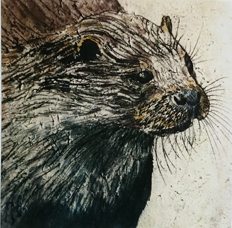 Otter monoprint card (Annabel Langrish)