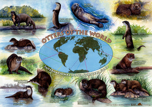 IOSF Otters of the World Poster