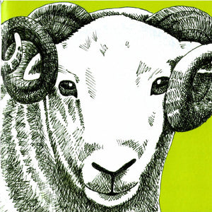 Small Notebook (Sheep) *Reduced* (Perkins & Morley)