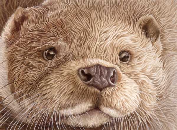 Limited Edition Fine Art Otter Prints (Lyn Wells)